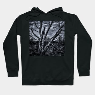 Tree Trunk Hoodie